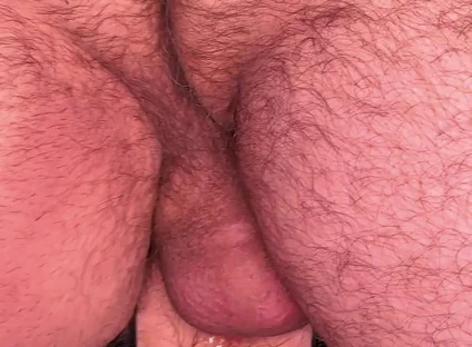 An Obedient Puppy 2 4K