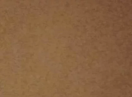 Lets Have Cum Together