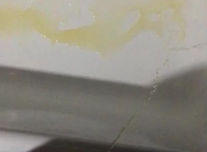 Peeing in the Bathtub