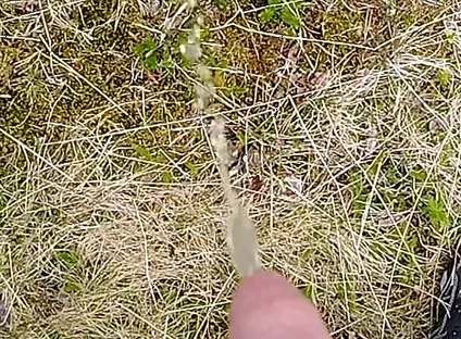 Pissing up in the Mountains