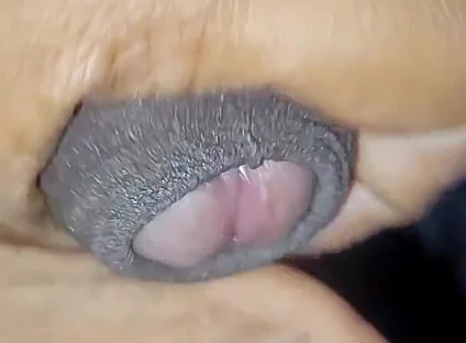 Desi Vergin Teen Gay Boy Jerking Himself