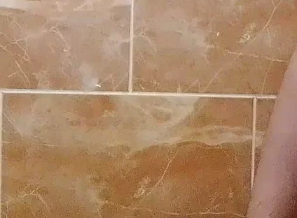 I Made a Video in the Toilet While Taking a Shower.