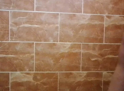 I Made a Video in the Toilet While Taking a Shower.