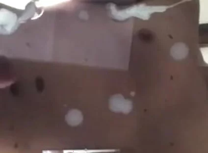 Snooped on My Young Bro's Phone This Hot Video