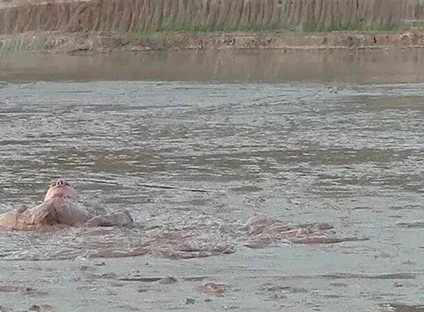 Exploring the Deep and Creamy Mud Pond