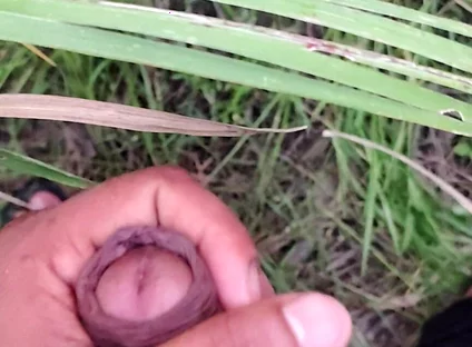 Masturbating in the Sugarcane Field