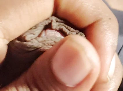 Deshi Boy Masturbation