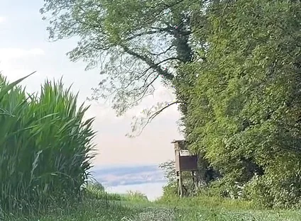 Risky Bwc Stroking Outdoors on Meadow with Lake View - Big Cumshot