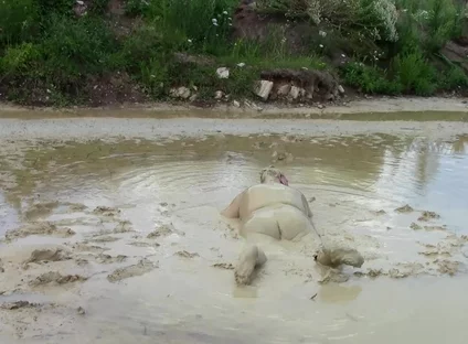 Me Playing in Deep Light Mud