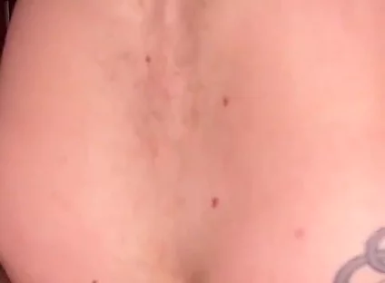 A Wolf Gets Fucked by a Bear