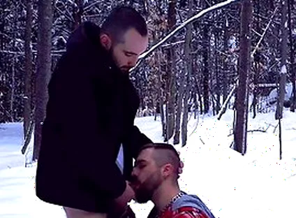Two Straight Bearded Pig Unloading Their Balls In The Snowy Fields