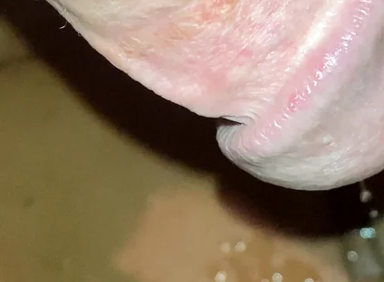Stepdaddy's Old Heavy Leaky Cock Needs Pussy