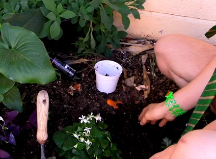 Giving the Plants Some Protein