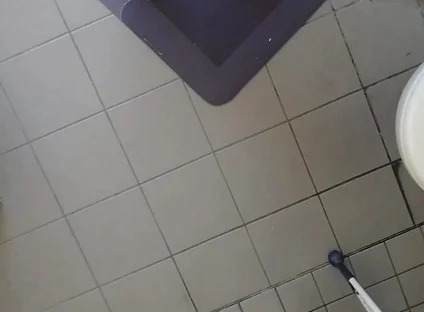 Video Examination of the Neck Holder for Ass