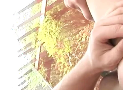 Lick his ass - Gay