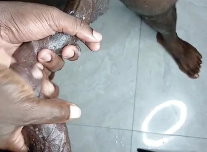 Bros Bating and Cum