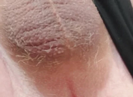 Assfuck with Vibrator