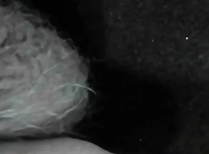 Arc of Sperm, Solo Amateur, Fountain