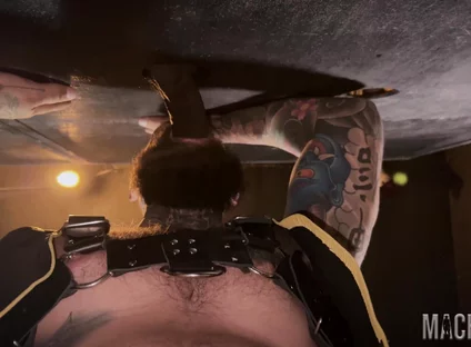 Big Dicks on the Wall - a Gloryhole Experience