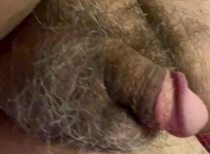 Soft Dick