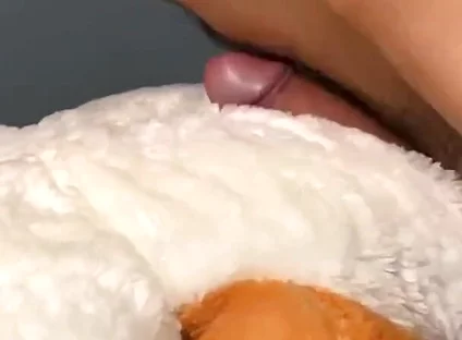 Teddy Orgasm Morning Dirty Talks Solo Cum