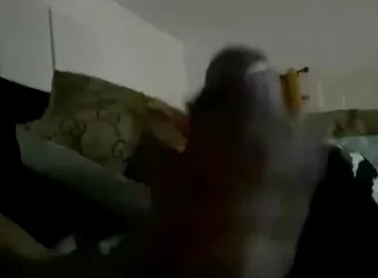 887401863522041856.mp4