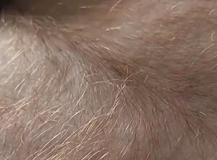 Anybody Want to Run Their Hands Over My Hairy Ginger Chest and Belly?