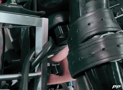 Total Simulation