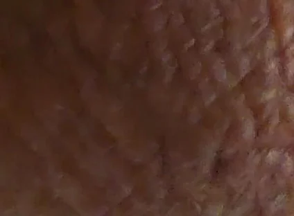 Closeup Desi Dick