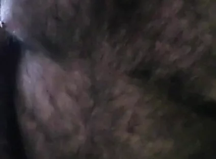 Bear Alone