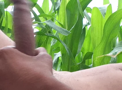 Worldwide Viral Desi Hunk Solo Action Part 4 - Premium Faceless Amateur Close-up Raw Stroking Session 4K