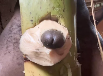 Hoter Way to Be Very Hard Strong Straight Cum Cute