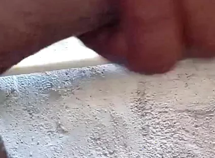 You Would Never Have Seen Such a Land Anywhere