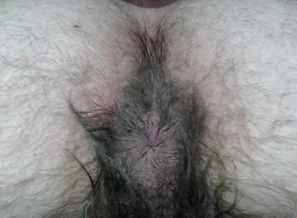 Cock Balls and Hairy Ass of Farts