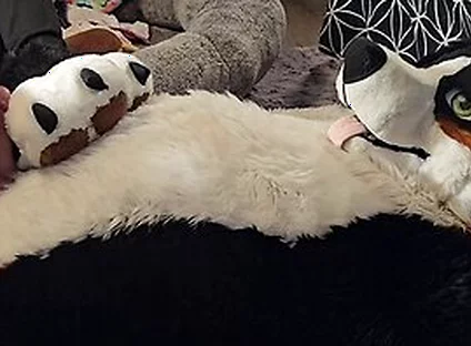 Pawslut Puppy Gets Back To Back Pawjobs With Massive 2nd Cumshot At The End