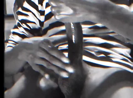 Wanna See a Full Video?