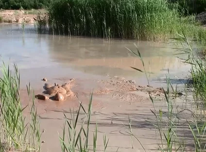 A Short Exploration of a New Mud Lake