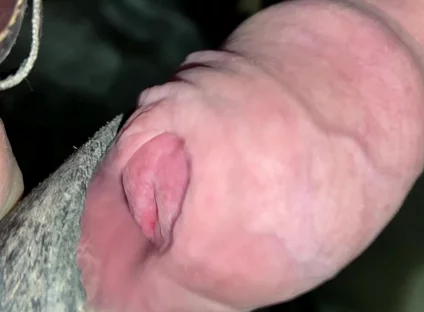 Close up Uncut Handsfree Cumshot After Hose Suction