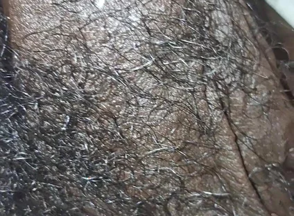 Up Close & Personal Huge Balls Massive Black Uncut Dick