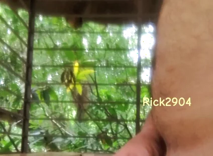 Playing with My Dick