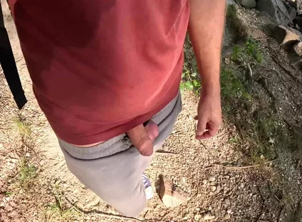 Surprise in the Foliage