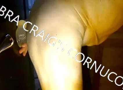 7-19-2026 Take It Fuckin Easy Cobra