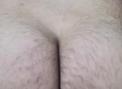 Happy Close up Hump Day