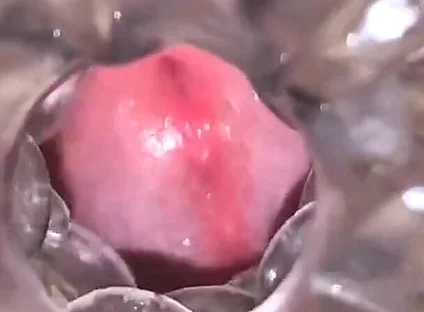Close-up Cock in Tool for Masturbate Orgasm on Flash