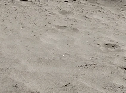 On the Beach Nude