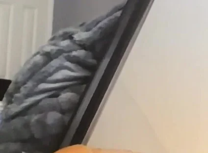 Deep Throat Clips