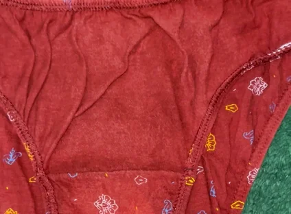 Got Rid of the Stress by Masturbating Shakutla Dirty Panties