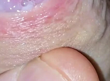Beautiful Handjob with Precum and Cum, Fucking in Front of the Cam