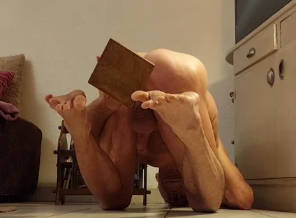 Fan Videos