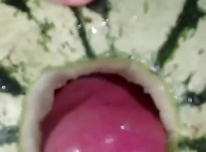 Fucking a Watermelon- the Best Fruit to Fuck